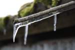 Winter/11394/letzter-frost Letzter Frost